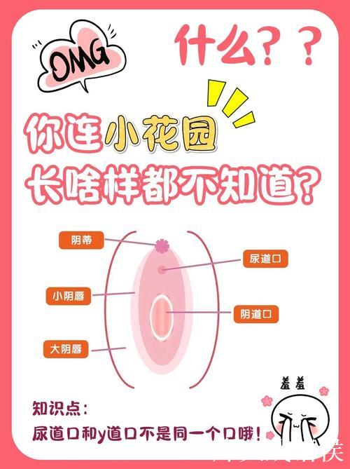 揭秘微密圈626617:圈内那些你不知道的秘密 揭秘微密圈626617:圈内那些你不知道的秘密